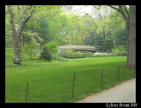 Central Park